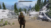 Skyrim ScreenShot0