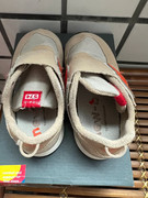 505248353_2927292364110302_8696489281633686211_n