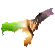 Assam