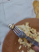 Screenshot_20231209_035528