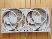 Fan-P12-Back