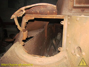 IMG-6005