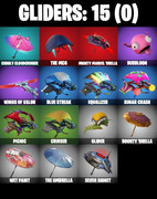 gliders-comp
