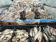 Ленивый Египет (Хургада, Луксор, Каир), декабрь 2025 - январь 2026 Ленивый Египет (Хургада, Луксор, Каир), декабрь 2025 - январь 2026