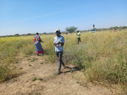 Grass-seedbank-6