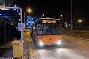 IMG-4234