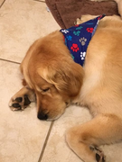 image_2023-02-02_231300872