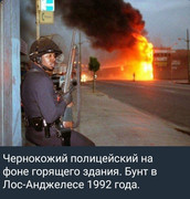 https://i.postimg.cc/1fvTpRhm/photo-2026-06-25-03-37-21.jpg