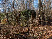 PXL 20260207 133830475