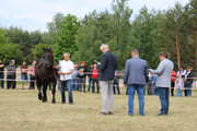 IMG-7313-wynik