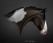 Untitled213-Restored5-20250114221719