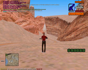 gta_sa 2021-08-02 11-24-34-631