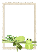 BVS naturepower frame10