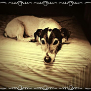 22499969_491423024565355_3979280589789331456_n