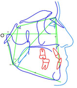 Whats App Image 2026 03 05 at 20 43 55 (4)