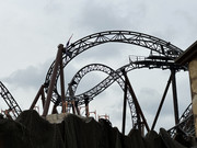 IMG-3554