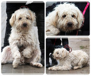 Be-Funky-collage-26.jpg&key=a3ec48728d84