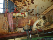 27993751-10215552762077389-8652512495616713143-o