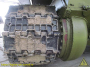 IMG-0310