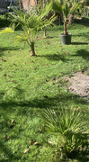 IMG-4604