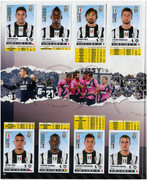 Album-Calciatori-2012-2013-Panini-038