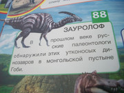 https://i.postimg.cc/1g8cXXtR/100-8076.jpg