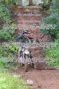 IMG-0475