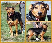 Be-Funky-collage-20.jpg&key=672fae546f82