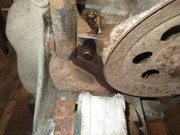 IMG-6461.jpg