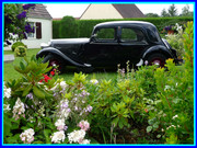 DIMANCHE-19-JUILLET-2009-B.jpg
