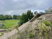 IMG-6427