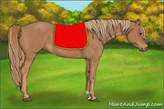 D Saddle Pad Red Yel -