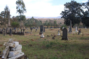 IMG-2770