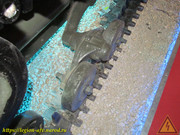 IMG-7355