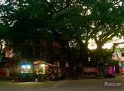 BBG&B29Pondicherry - 18