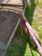 IMG_20220701_133451791_HDR