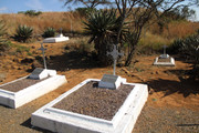 IMG-0294