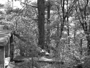 ADP System Pancharevo 2009 (29)