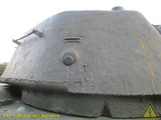 IMG-5565