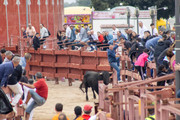 IMG-0131