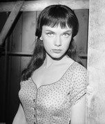 anne-francis-c70