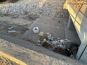 IMG-7541