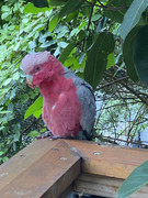 IMG-6789