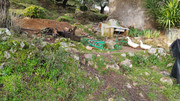 IMG-20260117-113104