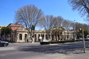DSC-0037