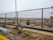 IMG 20251109 075439974 HDR AE