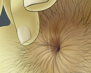 Commission Izzy 2 hair sweat steam