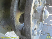 IMG-5451