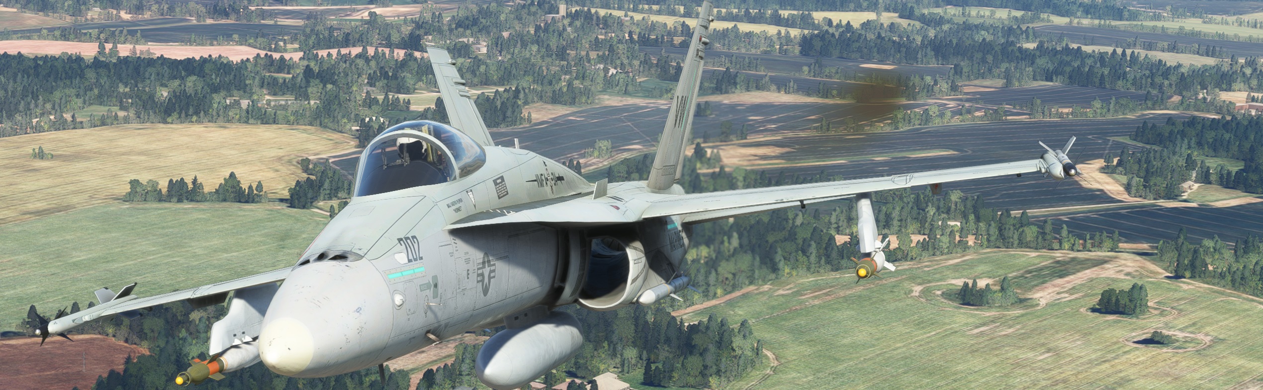 Legacy-Hornet.jpg