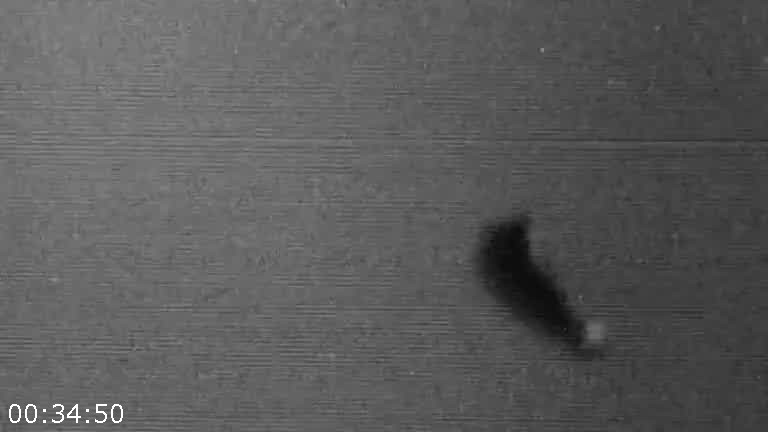 [Image: 8bcoqnj69yv5.jpg]